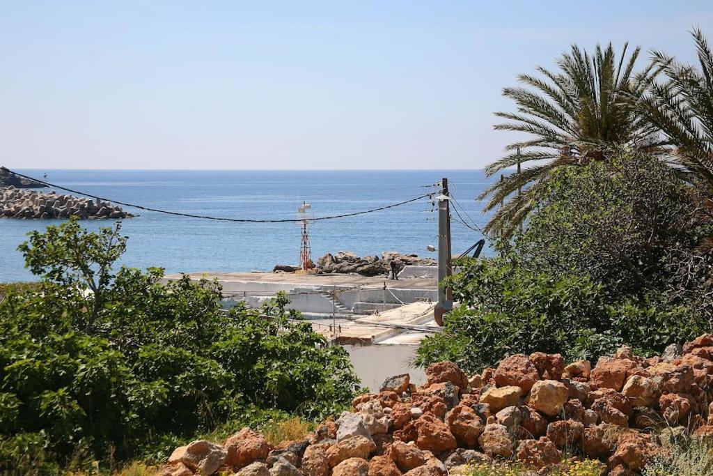 On The Beach Apartments Khora Sfakion Ngoại thất bức ảnh